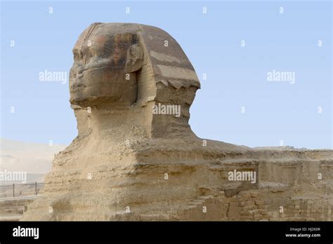 the Sphinx at Giza Necropolis in Egypt Stock Photo - Alamy