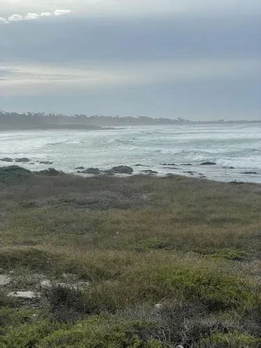 Best Hikes and Trails in Asilomar State Beach | AllTrails