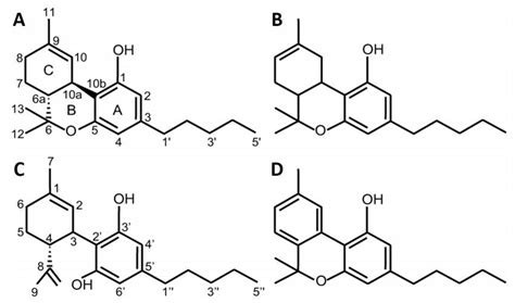 The chemical structure of main cannabinoids present in Cannabis ...