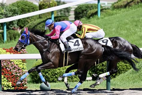 72 福島8r の写真ギャラリー 競馬ニュースなら競馬のおはなし