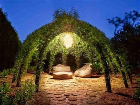 Living Willow Structures Grow Your Own Gazebo Arches And Pergolas