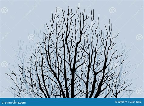 Membra Di Albero Nude Illustrazione Vettoriale Illustrazione Di Nudo
