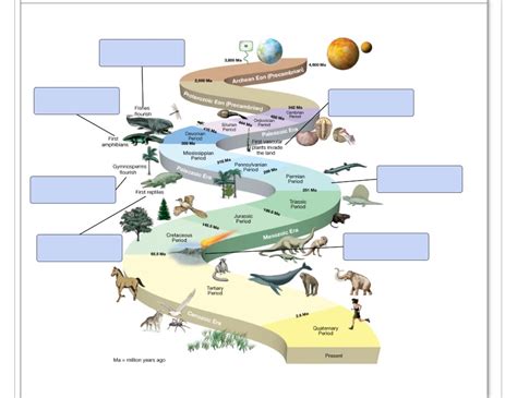 Solved Part B Events Through Geologic Time That Chegg