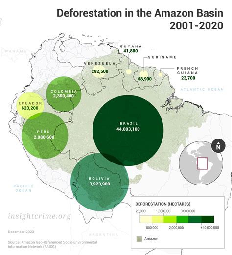 A Win Against Deforestation in the Amazon, For Now