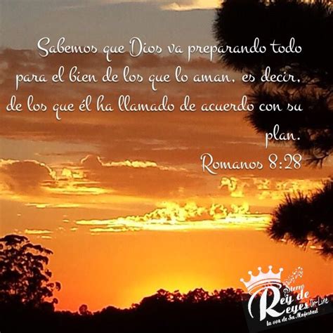 Verso Del Día Romans 8 28 King Of Kings Verses