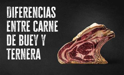 Diferencias Entre Carne De Ternera Y Buey Buenacarne