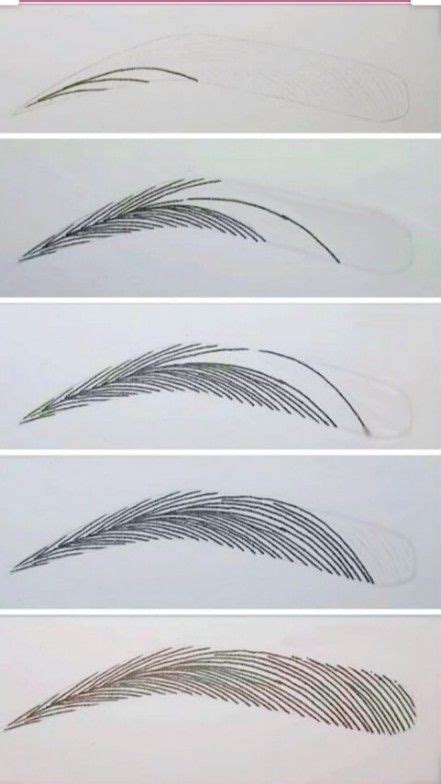 Como Dibujar Una Ceja Eyebrow Design Eyebrows Sketch Microblading