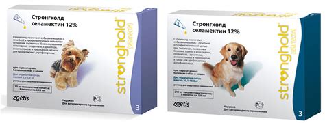 Средства от блох для собак: выбираем лучшее эффективное
