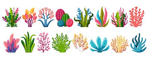 Collection of ocean plants 45590213 Vector Art at Vecteezy