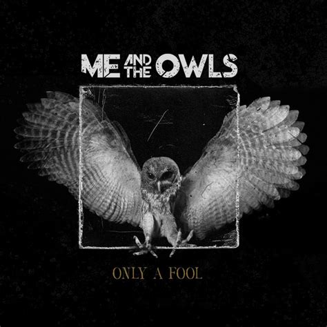 Only A Fool música e letra de Me and the Owls Spotify