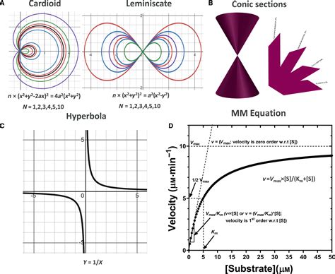 A Guide To The MichaelisMenten Equation Steady State And Beyond