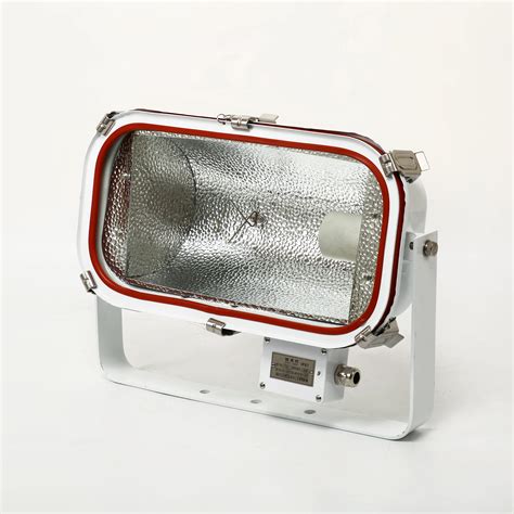 Tg4 1000w Marine Flood Light Halogen Lamp Ip67 Stainless Steel Marine