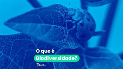 O que é Biodiversidade Resumo conceito ameaças e preservação