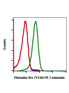 Phospho Src Y Recombinant Mab Abwiz Bio