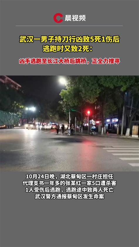 警方通报武汉一男子持刀行凶致5死1伤后，逃跑时又致2死：凶手逃跑至长江大桥后跳桥凤凰网视频凤凰网