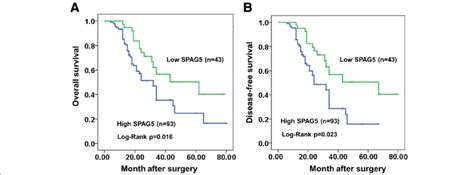 Relative Spag Expression And Its Clinical Significance A And B