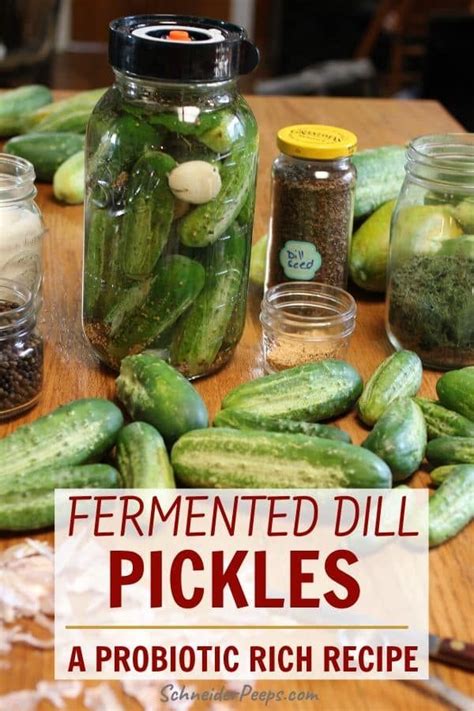 Fermented Dill Pickles Recipe Artofit