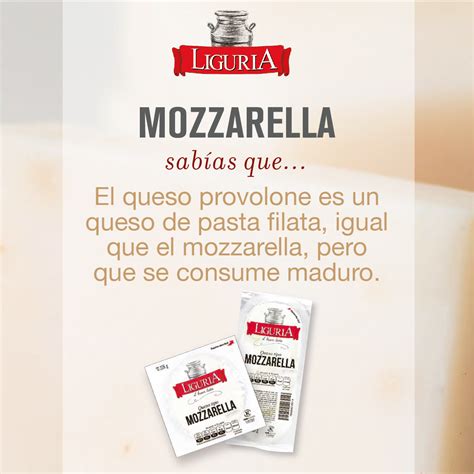 ¡para Los Amantes Del Queso Mozzarella Queso Provolone Pasta