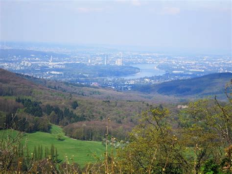 Wandern Auf Einsamen Pfaden Im Siebengebirge Tour 156731