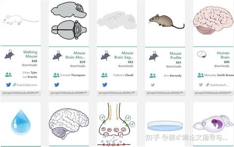 搞科研必须要了解的20个学术网站！ 知乎