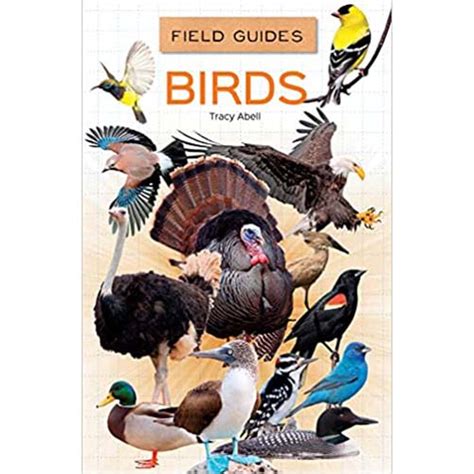 Field Guides For Kids 1 4 Titles Kids