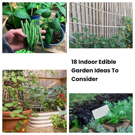 18 Indoor Edible Garden Ideas To Consider Sharonsable