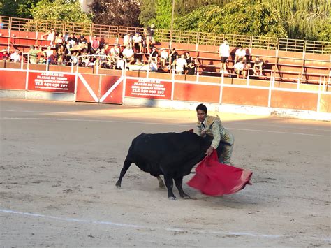 Leandro Extensa Cornada En La Ingle Que Alcanza El Abdomen Toreteate