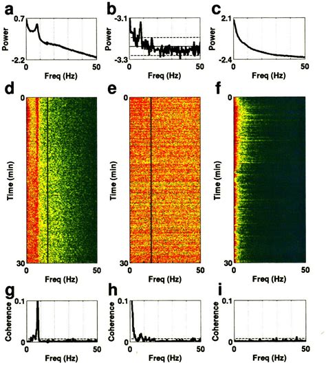 PDF Phase Locking Of Neurons In The Hippocampus And The Medial