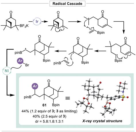 Three Component Olefin Dicarbofunctionalization Enabled By Nickel