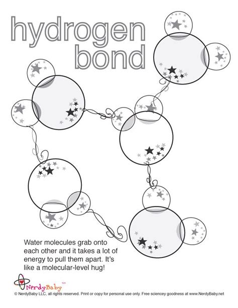 Hydrogen Bond Kimia