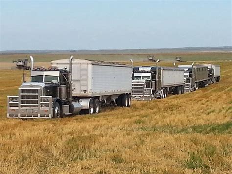 Peterbilt Train Hauling Grain Farm Trucks Big Rig Trucks Diesel