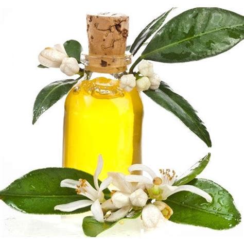 100 Amyris Oil For Aromatherapypharmaceutical Natural At Rs 9000kg