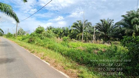 Pengerang, Johor – 6.3 acres Freehold Agriculture Land (Zoning Industrial) | Land for Sale in ...