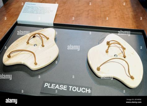 Swim paddles, designed by Ben Franklin, are on display at the ...