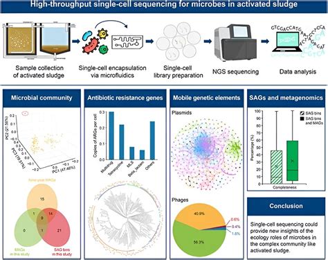 Sludge Sequencing High Throughput Single Cell Method Reveals Novel