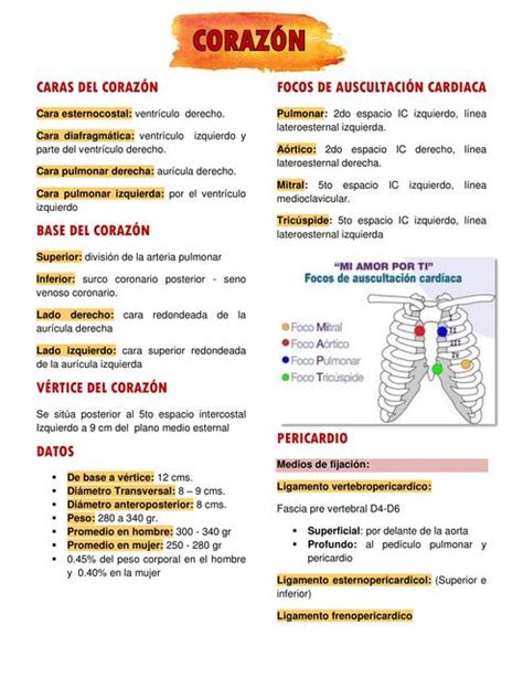 Corazón Leslie Carhuaz uDocz