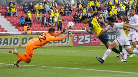 Ecuador Conoce Fechas Y Horarios De Próximos Partidos De Eliminatorias