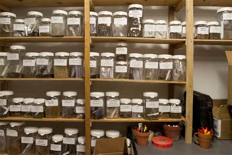 Seed Bank