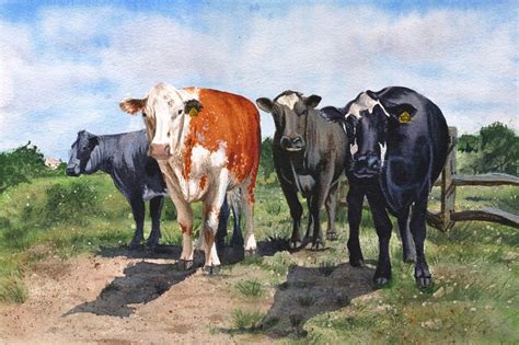 Water colour painting of 4 cows in a field | Pet portraiture ...