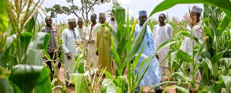 The Growing Complexity Of Farmer Herder Conflict InWest And Central