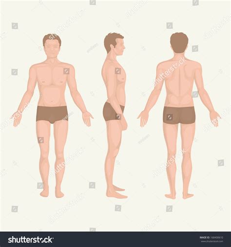 241 Man Side Profile Naked Stock Vectors Images Vector Art Shutterstock
