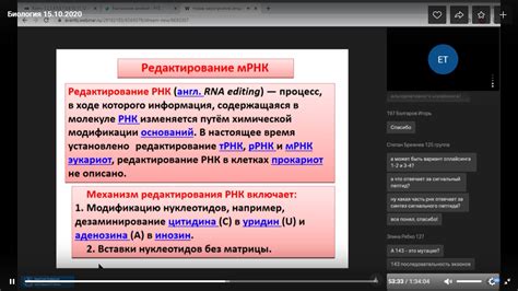 мРНК (все основные вопросы и краткая теория для экзамена)