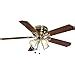 Hampton Bay Carriage House 52 In LED Indoor Polished Brass Ceiling Fan