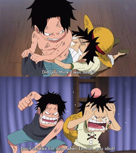 Ace and Luffy | Luffy and ace shaking hands, Ace and luffy handshake