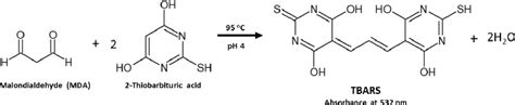 Evaluation Of Oxidative Stress In Biological Samples Using The