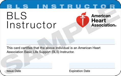 Frequently Asked Bls Questions And Answers For 2023 By The American