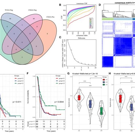 Three Molecular Subtypes Of GBM Based On Hypoxia Related Long