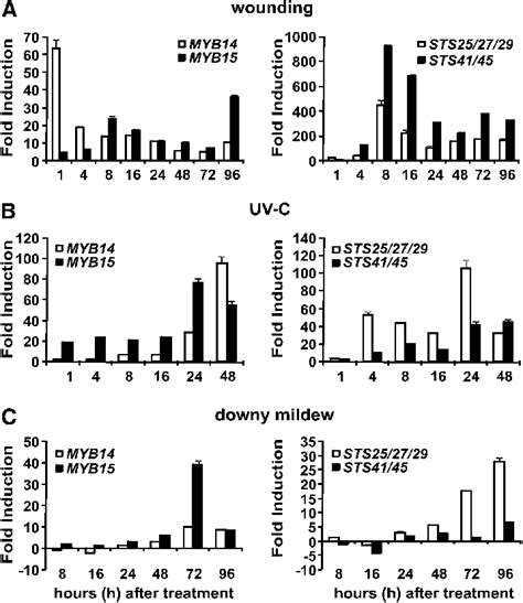 Expression Of MYB14 MYB15 And Selected STS Group B Type Genes