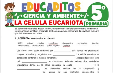 La C Lula Eucariota Para Quinto De Primaria Educaditos