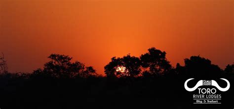 Toro Views And Toro Hill Manor Toro River Lodges African Dream Safari